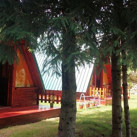 Etno Selo -Sapat- Villa Savnik Exterior photo